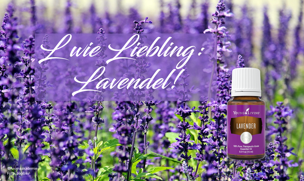 11 Gründe, warum Lavendel unser Liebling ist