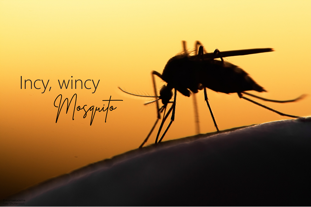 Incy, wincy Mosquito!