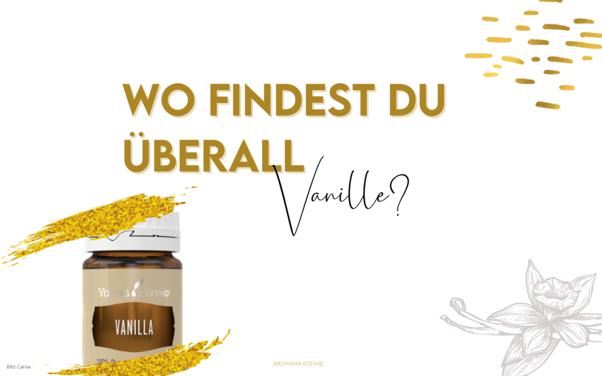 In welchen Produkten findest du Vanille?